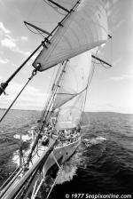 ID 2064 SPIRIT OF ADVENTURE (1973) a former NZ-based sail-training topsail-schooner operated by the Spirit of Adventure trust, under sail in the Hauraki Gulf near Auckland. She sails today as SPIRIT OF THE...